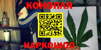 гидропоника Нягань