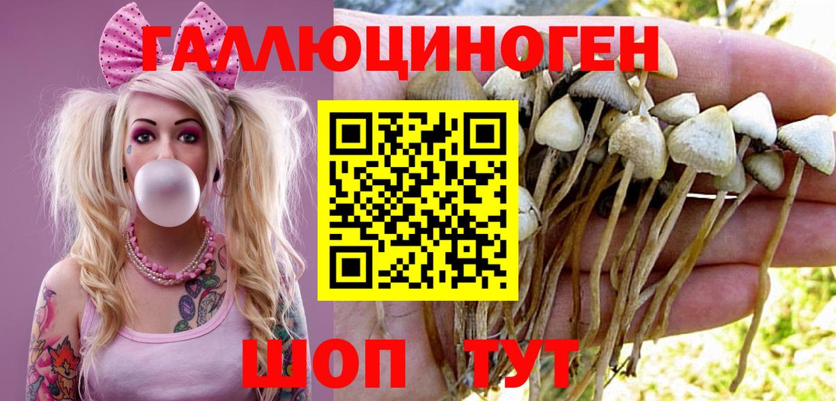 Тамбов  Галлюциногенные грибы GOLDEN TEACHER  Вход с VPN  Галлюциногенные грибы мицелий 