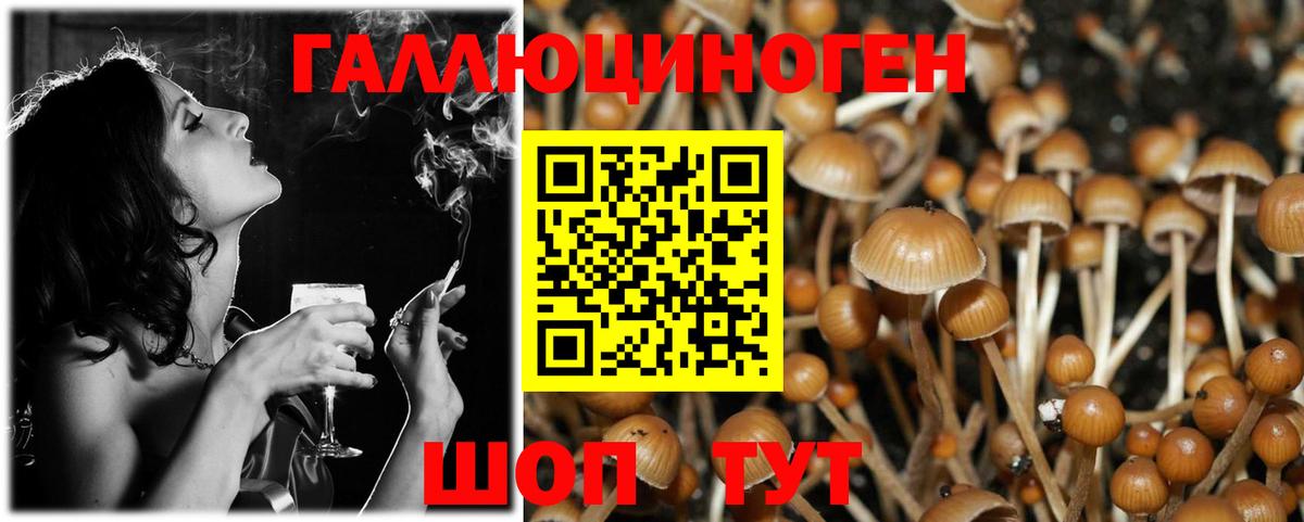 Псилоцибиновые грибы Cubensis Тамбов